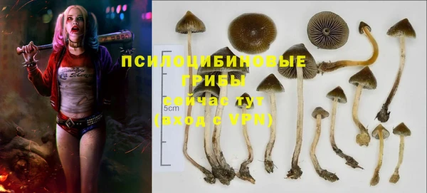 мдпв Зеленокумск