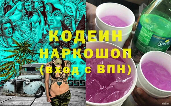 мет Инта