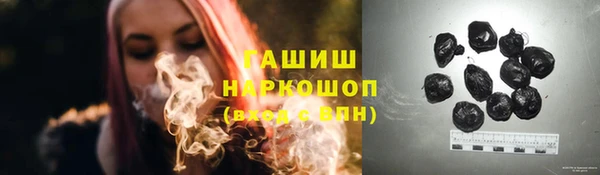 индика Заволжск