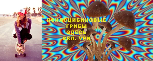 mdpv Инсар