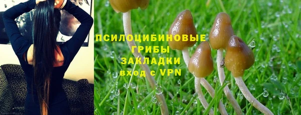 кокаин колумбия Заводоуковск