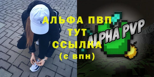 индика Заволжск