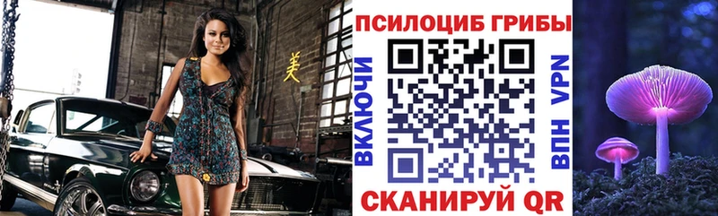 где можно купить наркотик  Кувандык  Галлюциногенные грибы мухоморы 